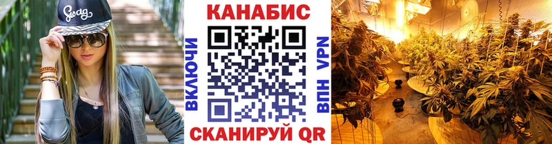 Конопля план  Чкаловск 